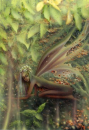 A4 Poster Pflanzenhelfer "Patchouli"